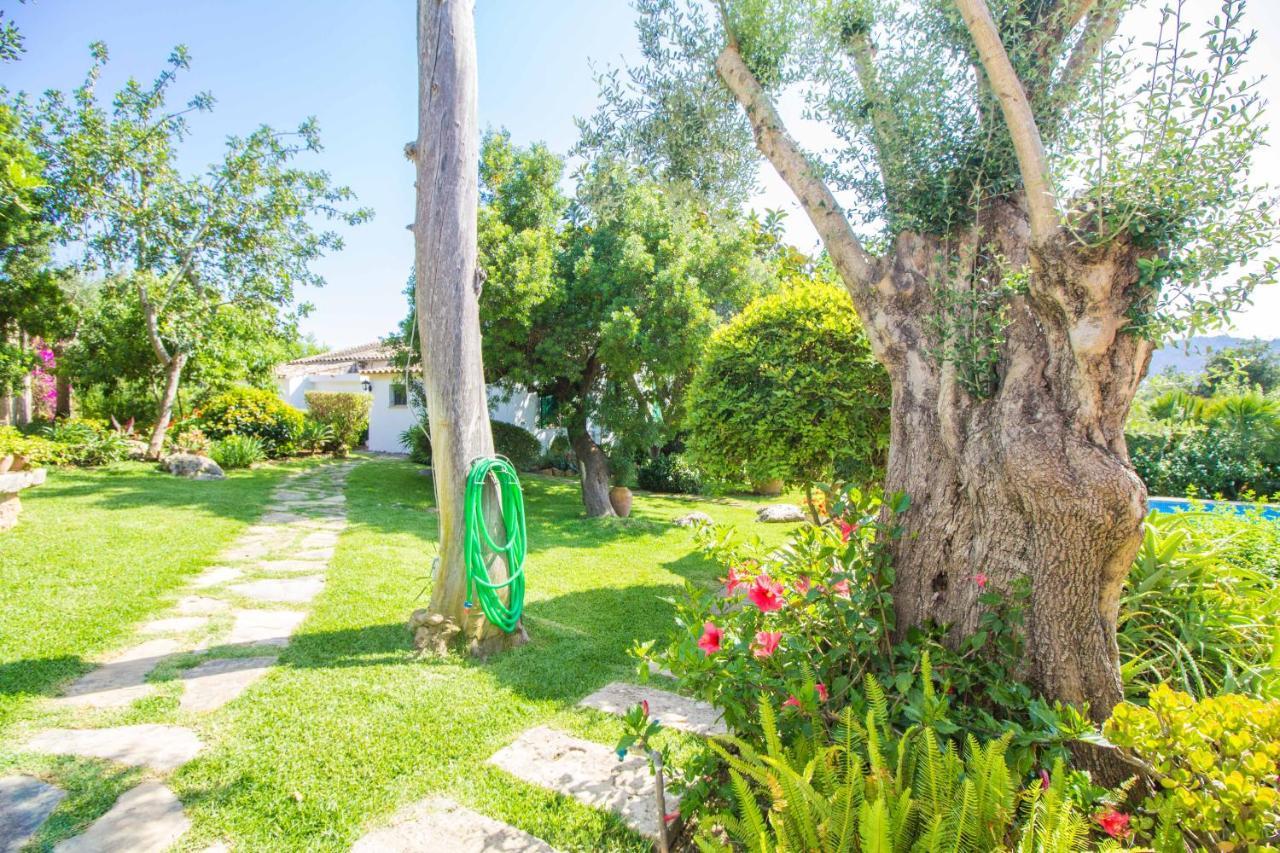 Preciosa Villa Tipica Mallorquina Con Wifi Y A/C Pollença Exterior foto